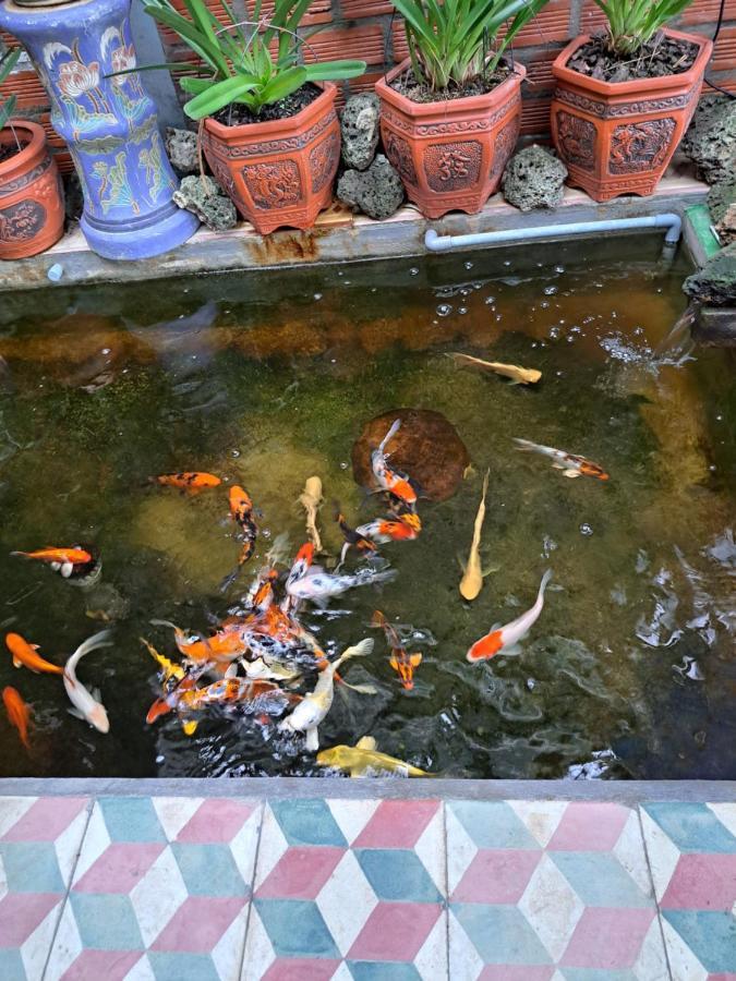 Hoa Lan Motel & Homestay Giong Tu Dien Екстер'єр фото